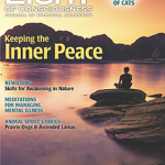Vol 32 #1 Keeping the Inner Peace