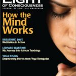 Vol 30 #2 How the Mind Works