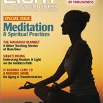 Vol 31 #3 Meditation & Spiritual Practices