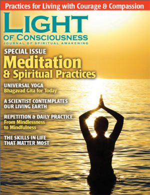 VOL 22 #3 Meditation & Spiritual Practicies