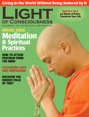 VOL 23 #3 Meditation and Spiritual Practices
