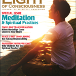 VOL 27 #3 Meditation & Spiritual Practices