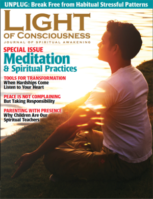 VOL 27 #3 Meditation & Spiritual Practices