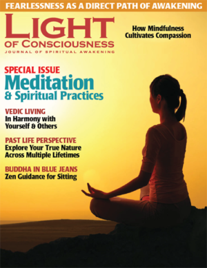 VOL 28 #3 Meditation & Spiritual Practices