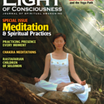 VOL 25 #3 Meditation & Spiritual Practices
