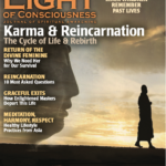 VOL 22 #2 Karma & Reincarnation