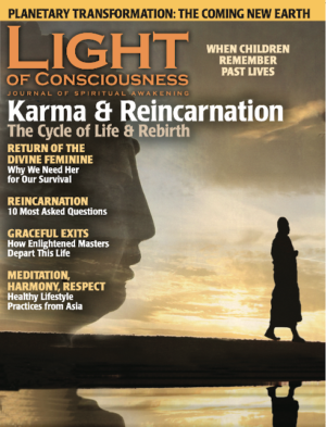 VOL 22 #2 Karma & Reincarnation